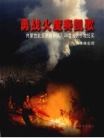 <em>勇敢</em>火魔奏凯歌  内蒙古北部原始林区7.28雷击火扑救纪实