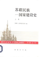 苏联民族-国家建设史  两卷本