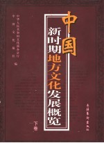 中国新时期地方<em>文化</em>发展概览  下
