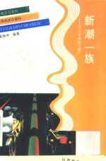 新潮一族  当代中国的个体户