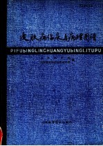 <em>皮肤</em>病临床与病理图谱