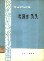 沸腾的码头  民族管弦乐曲