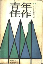 <em>青年</em>佳作  1988-1989全国优秀短篇<em>小</em>说选