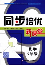 同步培优新<em>课堂</em>  化学  九年级