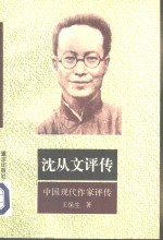 沈从文评传