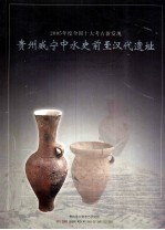 2005年度全国十大<em>考古</em>新发现  贵州威宁中水史前至汉代遗址