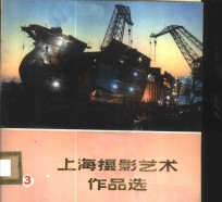 上海摄影<em>艺术</em><em>作品</em>选  3