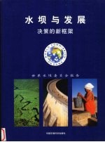 水坝与发展  决策的新框架