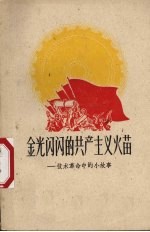 金光闪闪的共产主义火苗  技术革命中<em>的小</em>故事