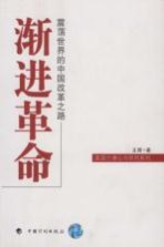 渐进革命  振荡世界的中国改革之路