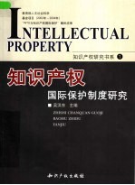 <em><em>知识</em><em>产权</em></em>国际<em>保护</em>制度研究