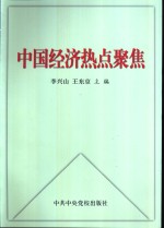 中国经济热点聚焦