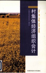 <em>村</em>集体经济组织会计