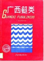 <em>广西</em>（竹蜓）类