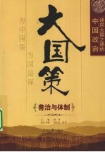 大国策  通向大国之路的中国政治  善治与体制