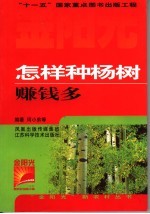 <em>怎样</em>种杨树赚钱多