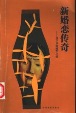 新婚恋传奇  当下中国婚恋小说
