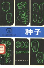 种子