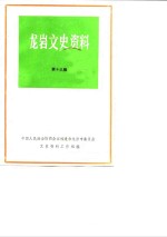 龙岩文史资料  第13辑