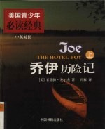 乔伊历险记  上