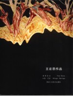 <em>王</em>宏恩作品  游离状态  幻象·呓语