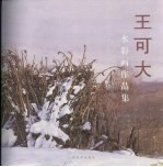 <em>王可</em>大水彩画作品集