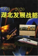1991-2020<em>湖北</em>发展战略