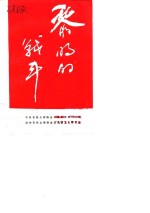 石柱<em>文史</em>资料  第11辑  黎明的战斗：解放初期石柱县平息土匪暴乱纪实