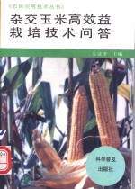 杂交玉米高效益栽培技术问答
