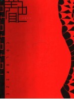 着色  2005