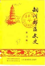 铜川郊区文史  第3辑