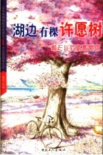 湖边有棵许愿树  明天以后依然爱你