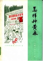 <em>怎样</em>种黄麻
