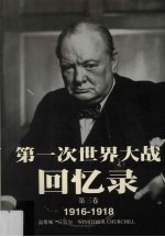 第一次世界大战回忆录  第3卷  1916-1918