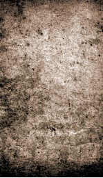 <em>唐诗</em>合解签注  卷9、卷10