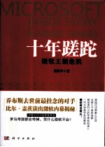 十年蹉跎  微软王朝危机重重