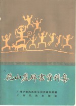 花山崖壁画资料集