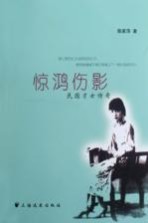 惊鸿伤影  民国才女传奇