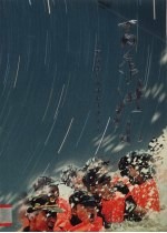 百年洪水  万宁军民抗击特大洪灾纪实