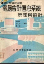 电脑会计信息系统原理与设计  会计电算化指南