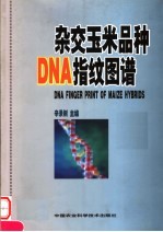 杂交玉米品种DNA<em>指纹</em>图谱 中英文本