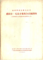 番阳乡  毛贵乡黎族合亩制调查