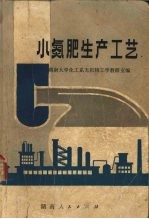 小氮肥生产工艺