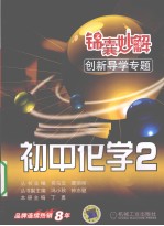 锦囊妙解创新导学专题  初中化学  2