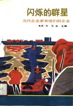 闪烁的群星  当代企业家和他们的企业