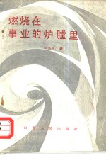 燃烧<em>在</em>事业<em>的</em>炉膛<em>里</em>