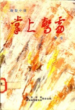 掌上惊雷
