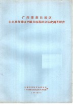 广西壮族自治区田东县作登区平路乡瑶族社会历史调查报告
