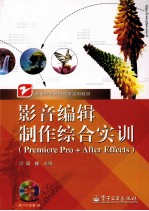 影音编辑制作<em>综合</em>实训（Premiere Pro+After Effects）