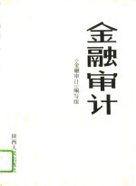 金融<em>审计</em>
